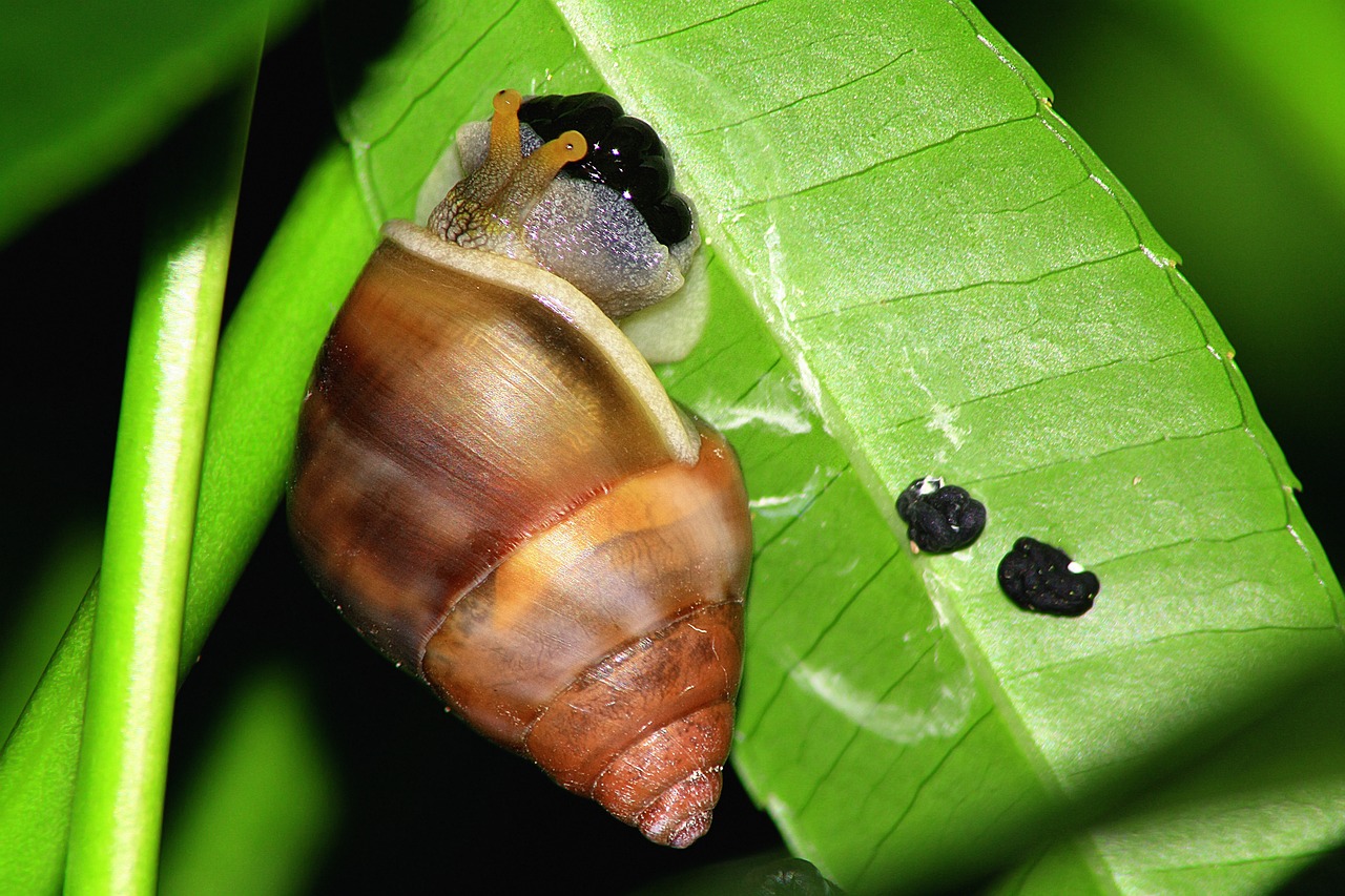 How to Create a DIY Wildlife Refuge in Your Backyard